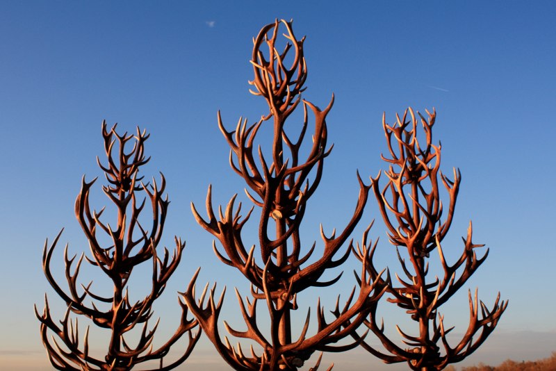 Geweihbaum-Skulptur am Chiemsee